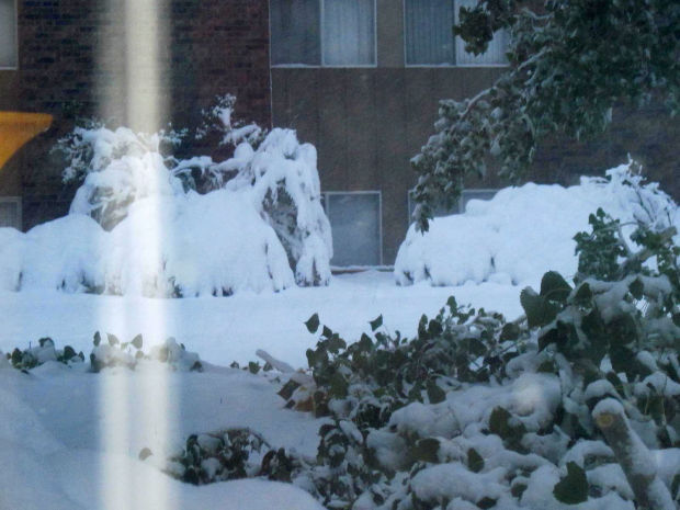 Winter Storm Atlas